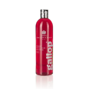Carr Day and Martin Gallop Colour Enhancing Shampoo for Bay