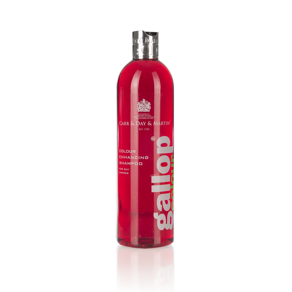 Carr Day and Martin Gallop Colour Enhancing Shampoo for Bay