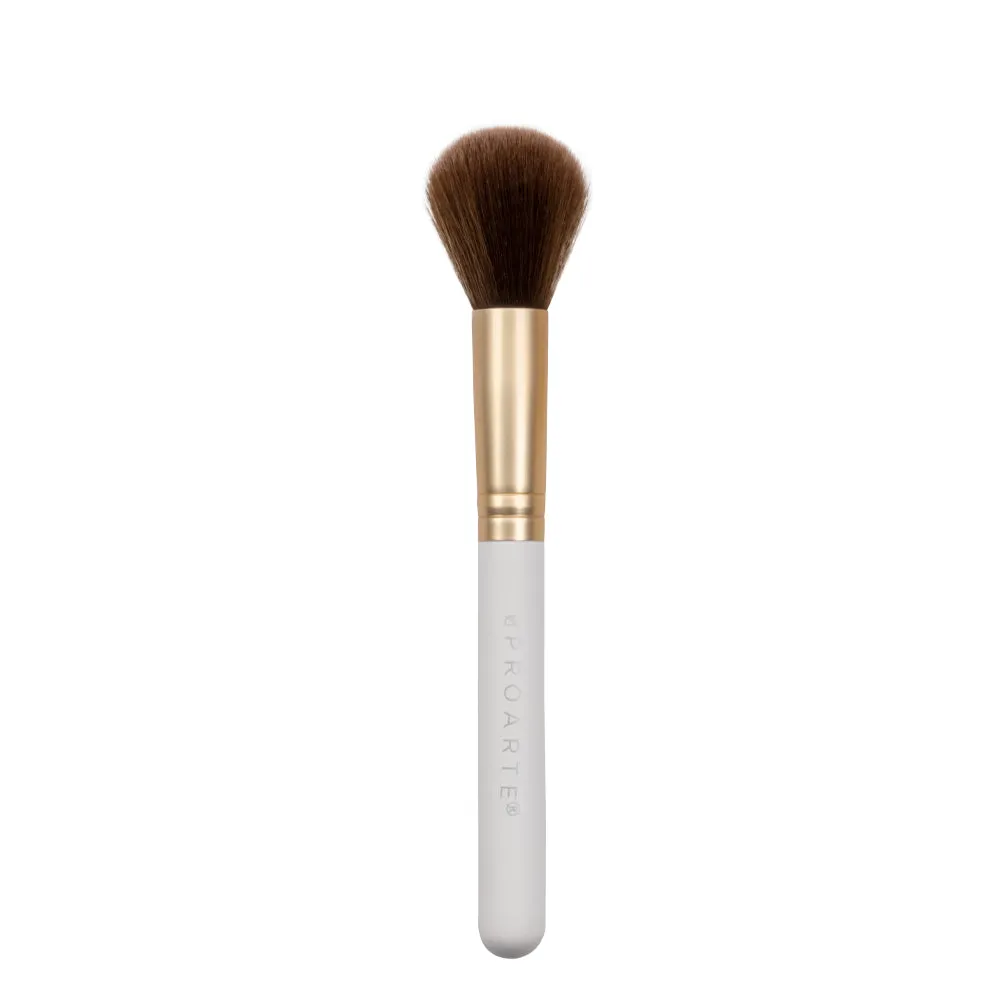 Proarte Glam up brush set PA - 168