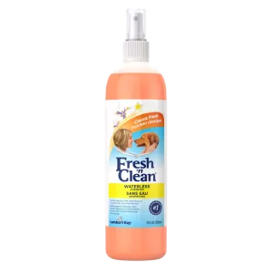 Waterless Shampoo Classic Fresh Scent 12oz by Fresh 'n Clean